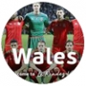 Сборная Уэльса на ЕВРО-2016