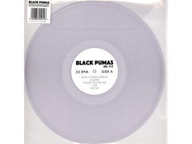 Виниловая пластинка Black Pumas – Black Pumas