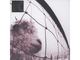 Виниловая пластинка Pearl Jam – Vs.