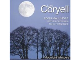Виниловая пластинка Larry Coryell – Moonlight Whispers