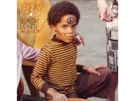 Виниловая пластинка Lenny Kravitz – Black And White America