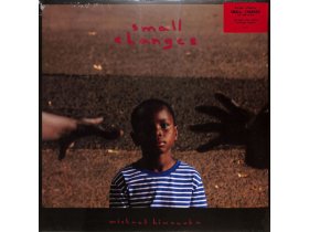 Виниловая пластинка Michael Kiwanuka – Small Changes