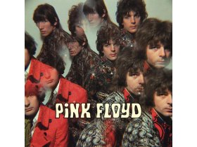 Виниловая пластинка Pink Floyd – The Piper At The Gates Of Dawn