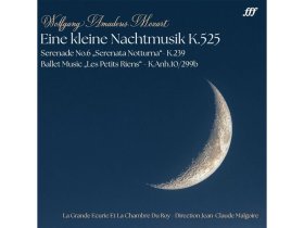 Виниловая пластинка MOZART WOLFGANG AMADEUS: EINE KLEINE NACHTMUSIK K.525 (LP) EAN:4260277748784 Виниловая пластинка MOZART WOLFGANG AMADEUS: EINE KLEINE NACHTMUSIK K.525 (LP) EAN:4260277748784