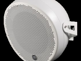 DAS AUDIO Громкоговоритель пассивный OVI-12-TW