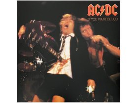 Виниловая пластинка AC/DC – If You Want Blood You've Got It