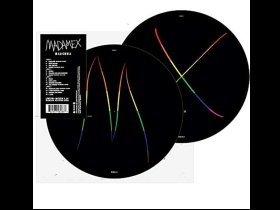 Виниловая пластинка Madonna – Madame X