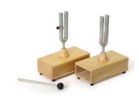 MAXON Камертоны на резонансных ящиках 1150 MAXON Камертоны на резонансных ящиках 1150