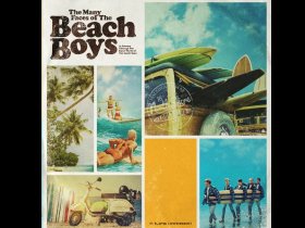 Виниловая пластинка The Beach Boys – The Many Faces of the Beach Boys