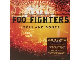 Виниловая пластинка Foo Fighters – Skin And Bones