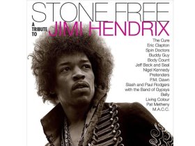 Виниловая пластинка VARIOUS ARTISTS: STONE FREE - A TRIBUTE TO JIMI HENDRIX EAN:0093624895268