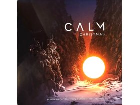 Виниловая пластинка VARIOUS ARTISTS – Calm Christmas