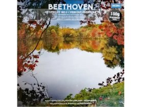 Виниловая пластинка Ludwig van Beethoven – SYMPHONY NO 5 / EGMONT OVERTURE