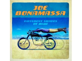 Виниловая пластинка BONAMASSA JOE: DIFFERENT SHADES OF BLUE EAN:0819873011187 Виниловая пластинка BONAMASSA JOE: DIFFERENT SHADES OF BLUE EAN:0819873011187