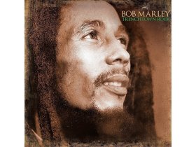 Виниловая пластинка BOB MARLEY: TRENCHTOWN ROCK EAN:5711053020512 Виниловая пластинка BOB MARLEY: TRENCHTOWN ROCK EAN:5711053020512