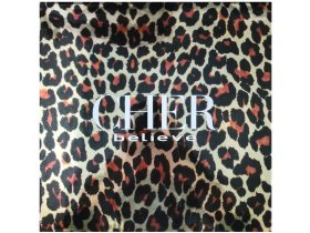 Виниловая пластинка Cher – Believe