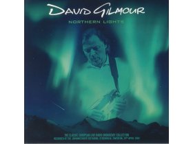 Виниловая пластинка David Gilmour – Northern Lights