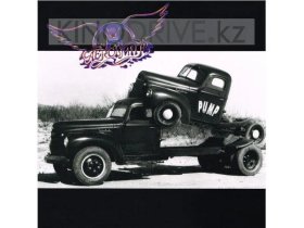 Виниловая пластинка AEROSMITH - PUMP