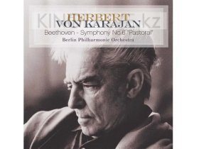 Виниловая пластинка Ludwig Van Beethoven - Symphony No.6 Pastoral: Vinyl Passion