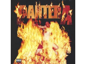 Виниловая пластинка Pantera – Reinventing The Steel
