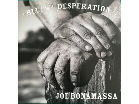 Виниловая пластинка JOE BONAMASSA – Blues Of Desperation