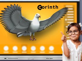 Доступ к онлайн-версии ПО Corinth (1 user)