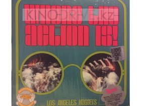 Виниловая пластинка VARIOUS ARTISTS – Where The Action Is! (Los Angeles Nuggets)