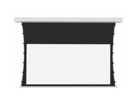 PROscreen Экран для проектора TCT9120 (2657х1494)