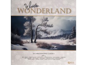 Виниловая пластинка Various Artists - Winter Wonderland