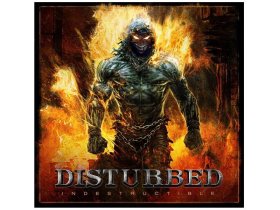 Виниловая пластинка Disturbed – Indestructible