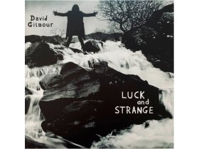 Виниловая пластинка David Gilmour – Luck And Strange (TRANSLUCENT SEA BLUE VINYL)