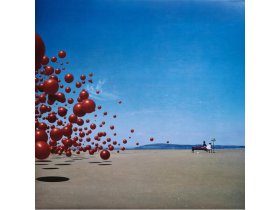 Виниловая пластинка The Cranberries – Wake Up And Smell The Coffee