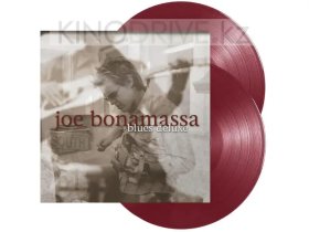 Виниловая пластинка BONAMASSA JOE: BLUES DELUXE