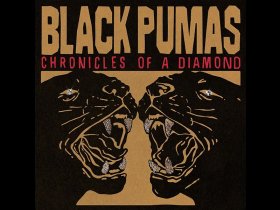 Виниловая пластинка Black Pumas – Chronicles Of A Diamond