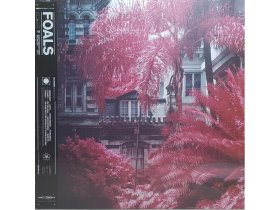 Виниловая пластинка Foals – Everything Not Saved Will Be Lost: Part 1
