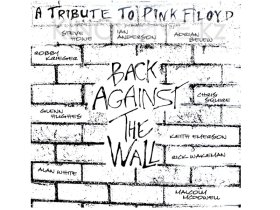 Виниловая пластинка Pink Floyd - Back Against The Wall: Golden Core