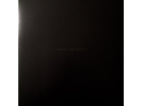 Виниловая пластинка Bring Me The Horizon – That's The Spirit
