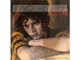 Виниловая пластинка SIMPLY RED / PICTURE BOOK