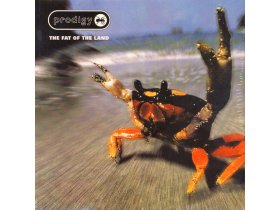 Виниловая пластинка Prodigy – The Fat Of The Land