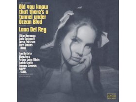 Виниловая пластинка Lana Del Rey – Did You Know That There's A Tunnel Under Ocean Blvd