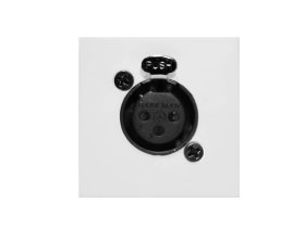 AUDAC Панель для настенного монтажа CP45XLFS/W