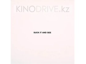 Виниловая пластинка Arctic Monkeys - Suck It And See: V2