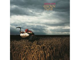 Виниловая пластинка Depeche Mode – A Broken Frame