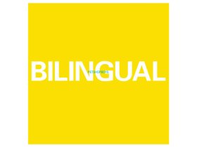 Виниловая пластинка Pet Shop Boys – Bilingual