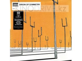 Виниловая пластинка Muse – Origin Of Symmetry: Warner