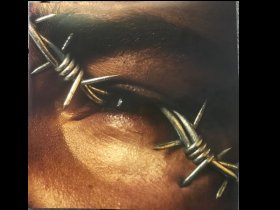 Виниловая пластинка Post Malone – Beerbongs & Bentleys