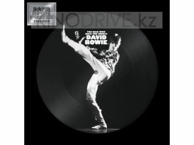 Виниловая пластинка BOWIE DAVID - The Man Who Sold The World - Picture Disc
