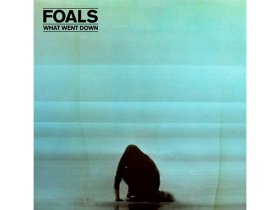 Виниловая пластинка Foals – What Went Down