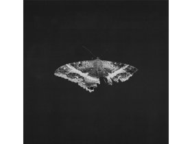 Виниловая пластинка Kendrick Lamar – To Pimp A Butterfly