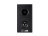 POLK AUDIO Акустическая система Reserve R200 ЧЕРНЫЙ (Пара) — фото 5